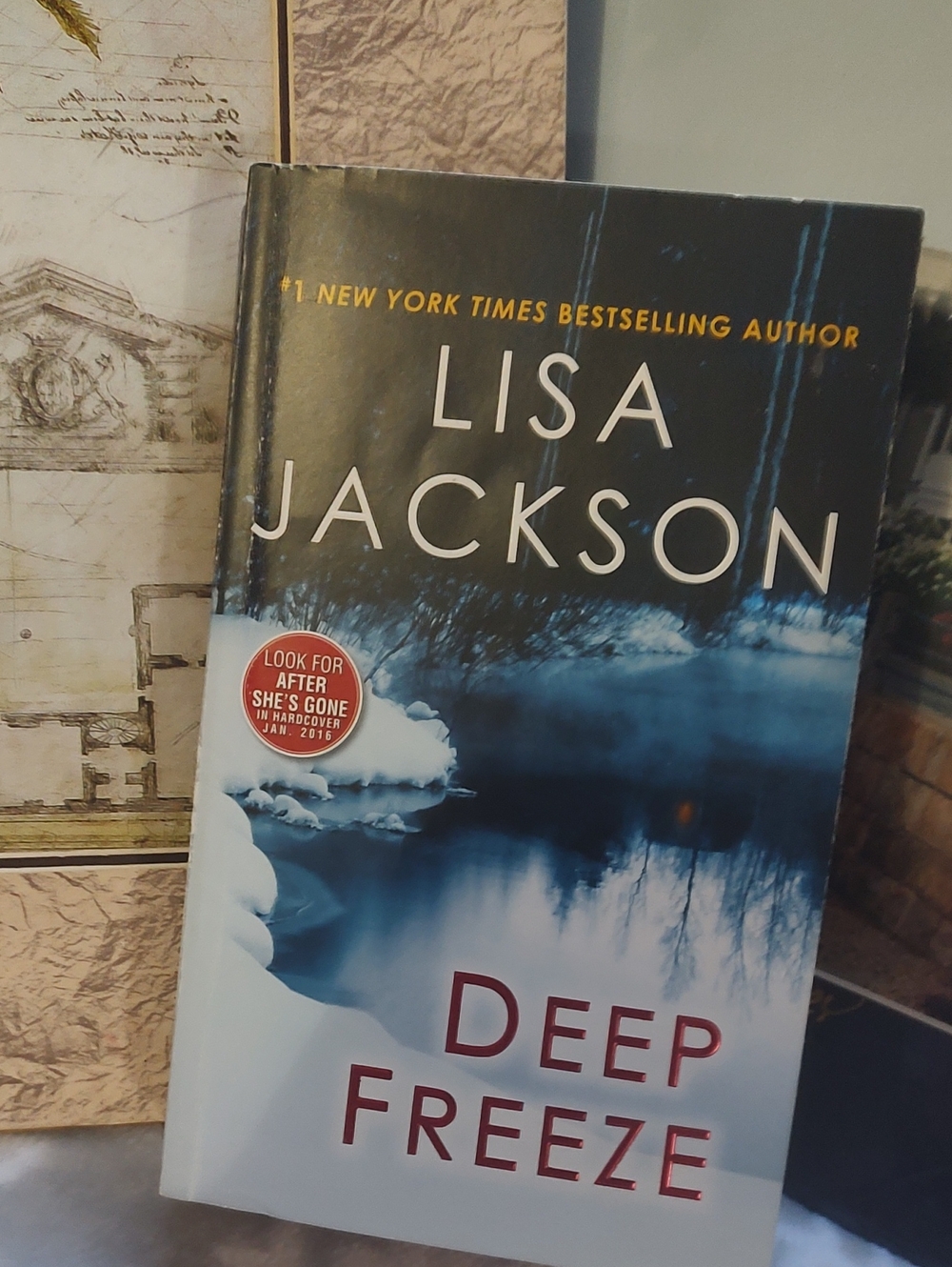 Lisa Jackson "Deep Freeze" Paperback Book -